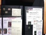 1843-1945 Gut ausgebaute Studien-Sammlung Schweiz in