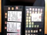 1843-1945 Gut ausgebaute Studien-Sammlung Schweiz in