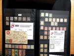 1843-1945 Gut ausgebaute Studien-Sammlung Schweiz in