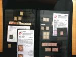 1843-1945 Gut ausgebaute Studien-Sammlung Schweiz in