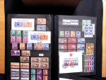 1843-1945 Gut ausgebaute Studien-Sammlung Schweiz in