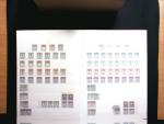 1843-1945 Gut ausgebaute Studien-Sammlung Schweiz in