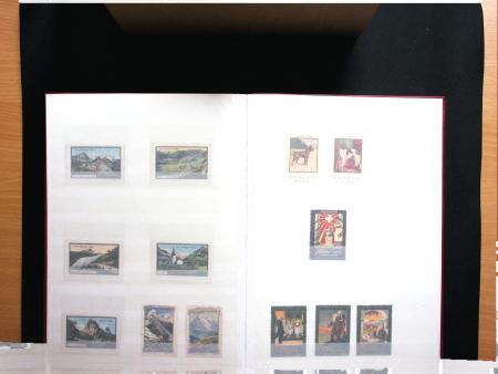 1843-1945 Gut ausgebaute Studien-Sammlung Schweiz in
