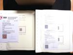 1843-2013 Reichhaltige Sammlung Schweiz in 8 Leuchtturm
