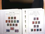 1843-2013 Reichhaltige Sammlung Schweiz in 8 Leuchtturm