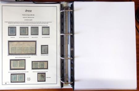 Gold-Medal Exhibition Collection1881-1930 Remarkable
