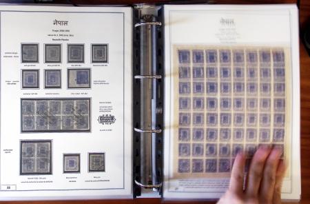 Gold-Medal Exhibition Collection1881-1930 Remarkable