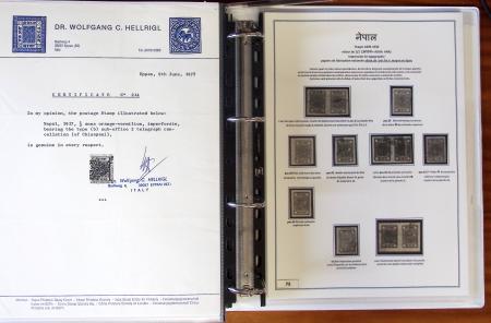 Gold-Medal Exhibition Collection1881-1930 Remarkable