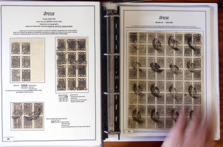 Gold-Medal Exhibition Collection1881-1930 Remarkable