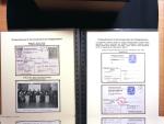 Rare ensemble de 18 entiers cartes postales de stalags