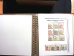 1922-23, Sammlung Deutsche Inflation in Album auf Ausstellungsblättern,