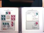 1924-45, Spezialsammlung Weimarer Republik 1924-31
