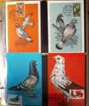 1870-2020, Jolie collection sur le thème des pigeons