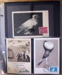 1870-2020, Jolie collection sur le thème des pigeons