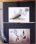 1870-2020, Jolie collection sur le thème des pigeons