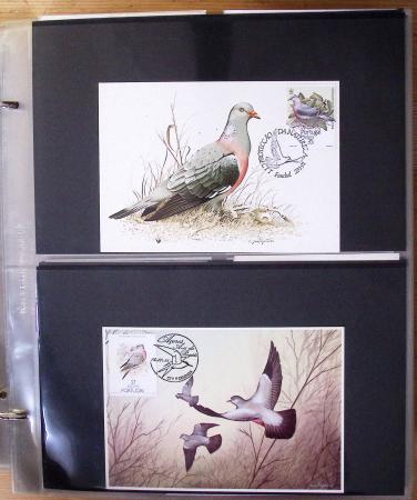 1870-2020, Jolie collection sur le thème des pigeons