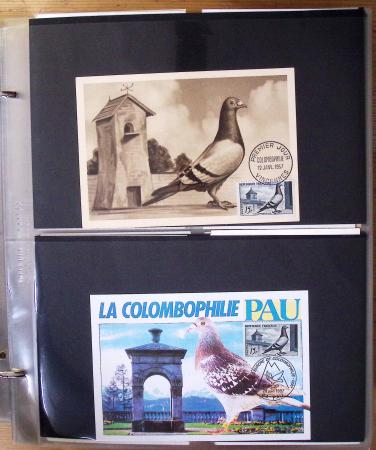1870-2020, Jolie collection sur le thème des pigeons