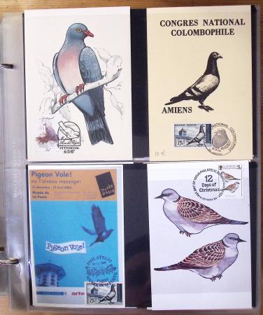 1870-2020, Jolie collection sur le thème des pigeons