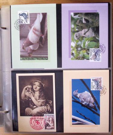 1870-2020, Jolie collection sur le thème des pigeons
