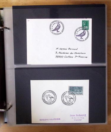 1870-2020, Jolie collection sur le thème des pigeons