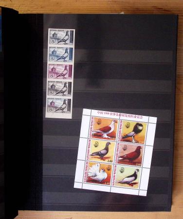 1870-2020, Jolie collection sur le thème des pigeons