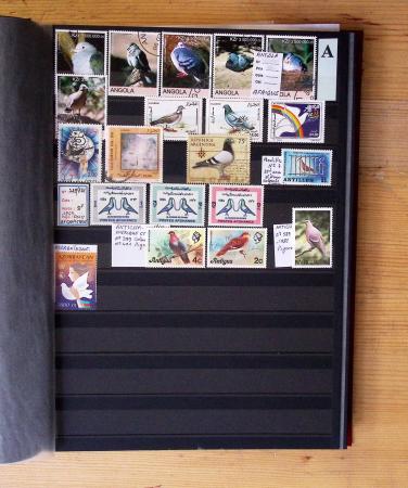 1870-2020, Jolie collection sur le thème des pigeons