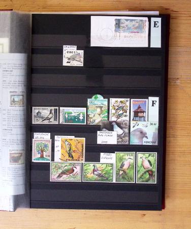 1870-2020, Jolie collection sur le thème des pigeons