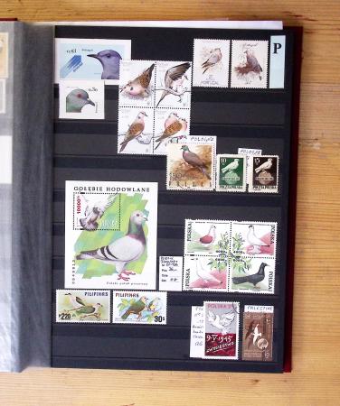 1870-2020, Jolie collection sur le thème des pigeons
