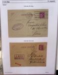 Gros classeur blanc de bureau contenant une collection spécialisée d'entiers postaux au type Paix 40c violet, 50c rouge, 55c violet, 65c Outremer, 90c