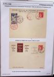 Gros classeur blanc de bureau contenant une collection spécialisée d'entiers postaux au type Paix 40c violet, 50c rouge, 55c violet, 65c Outremer, 90c