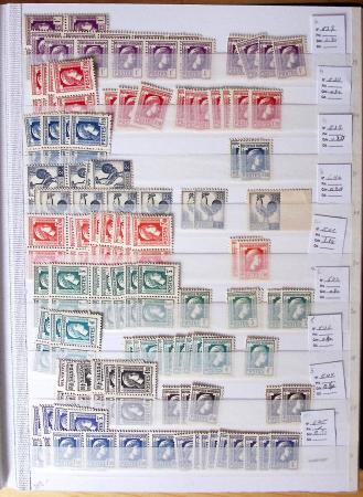 1900-1959, en 5 albums, très important stock de timbres