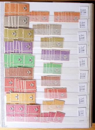 1900-1959, en 5 albums, très important stock de timbres