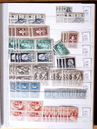 1900-1959, en 5 albums, très important stock de timbres