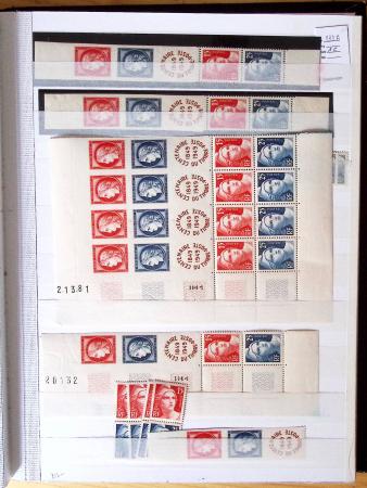 1900-1959, en 5 albums, très important stock de timbres