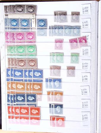 1900-1959, en 5 albums, très important stock de timbres