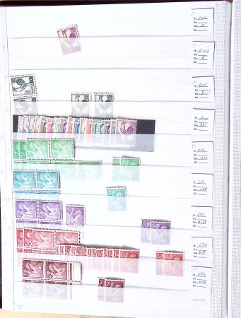 1900-1959, en 5 albums, très important stock de timbres