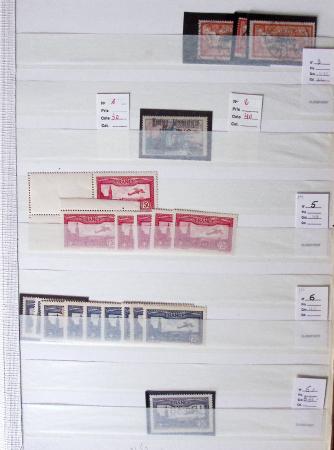 1900-1959, en 5 albums, très important stock de timbres