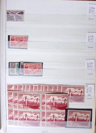 1900-1959, en 5 albums, très important stock de timbres