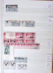 1900-1959, en 5 albums, très important stock de timbres