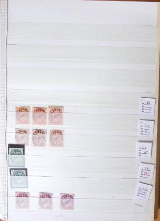 1900-1959, en 5 albums, très important stock de timbres
