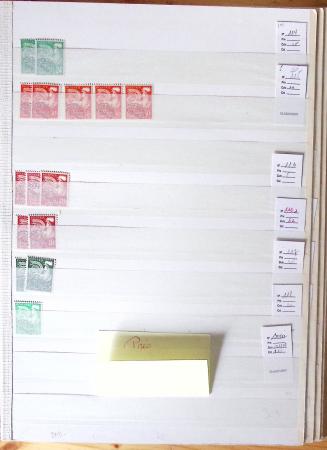 1900-1959, en 5 albums, très important stock de timbres