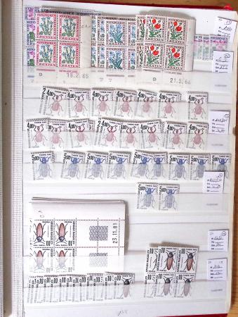 1900-1959, en 5 albums, très important stock de timbres