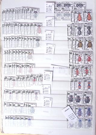 1900-1959, en 5 albums, très important stock de timbres