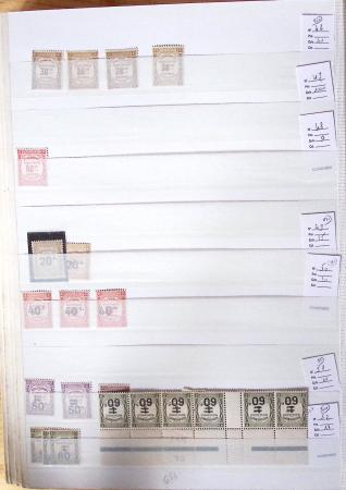 1900-1959, en 5 albums, très important stock de timbres