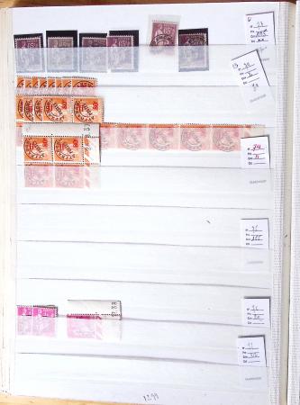 1900-1959, en 5 albums, très important stock de timbres