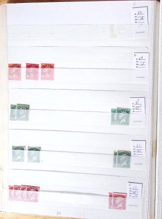 1900-1959, en 5 albums, très important stock de timbres