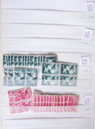1900-1959, en 5 albums, très important stock de timbres