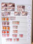 1900-1959, en 5 albums, très important stock de timbres