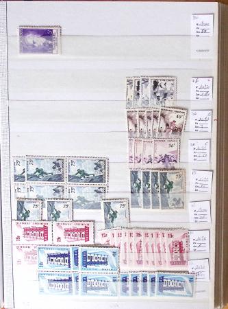 1900-1959, en 5 albums, très important stock de timbres