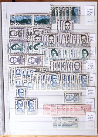 1900-1959, en 5 albums, très important stock de timbres